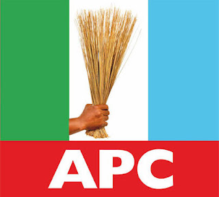 Violence Erupts At APC Local Government Primaries In Lagos State