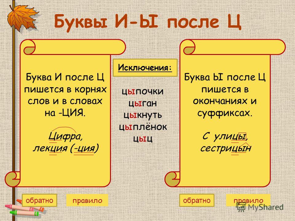 В окончании слова после ц пишется. Правило написания и после ц. Правила написания букв и ы после ц. Правило написания букв после ц. Правописание букв и и ы после буквы ц правило.