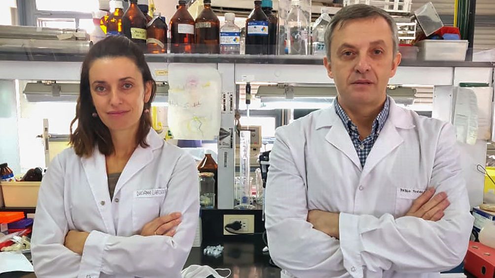 Made in Argentina: Logran un importante avance en el desarrollo de tests rápidos de COVID-19 Made in Argentina: Logran un importante avance en el desarrollo de tests rápidos de COVID-19