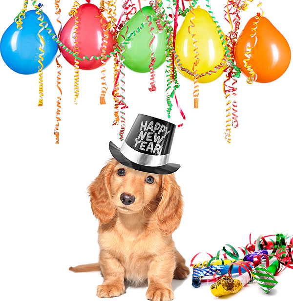 happy new year dog clipart - photo #39