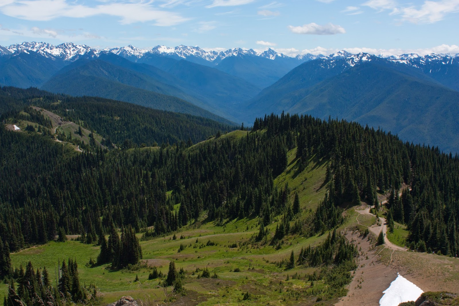 Ridge Trail Olympic Coast Backpacking Hikes At Hurricane Ridge