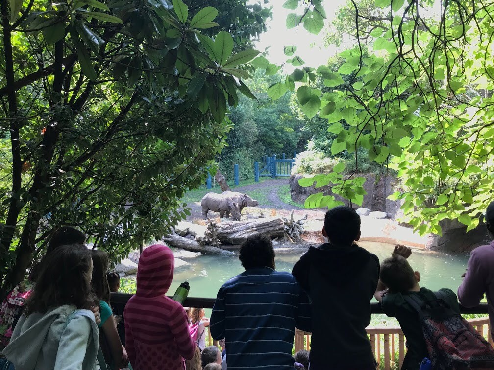 The ZooCrew Zoo Middle School Youth Dive Into Exhibit Design