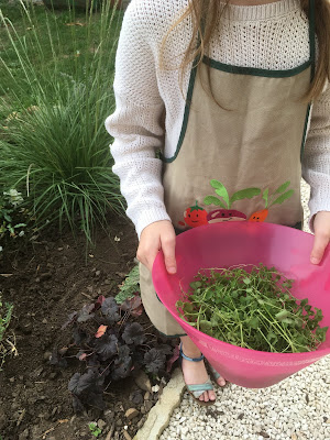 salade d'herbes (pas si) folles petite fille tient une salade d'herbes