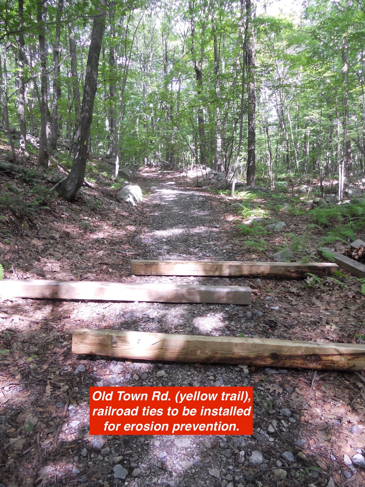 Prospect Land Trust...