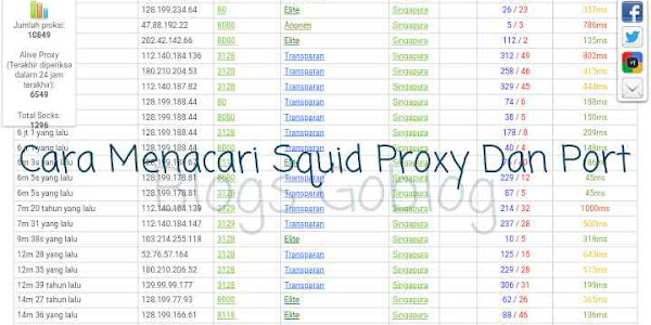 Cara Mudah Mencari Squid Proxy Dan Port Aktif Untuk SSH / Polosan