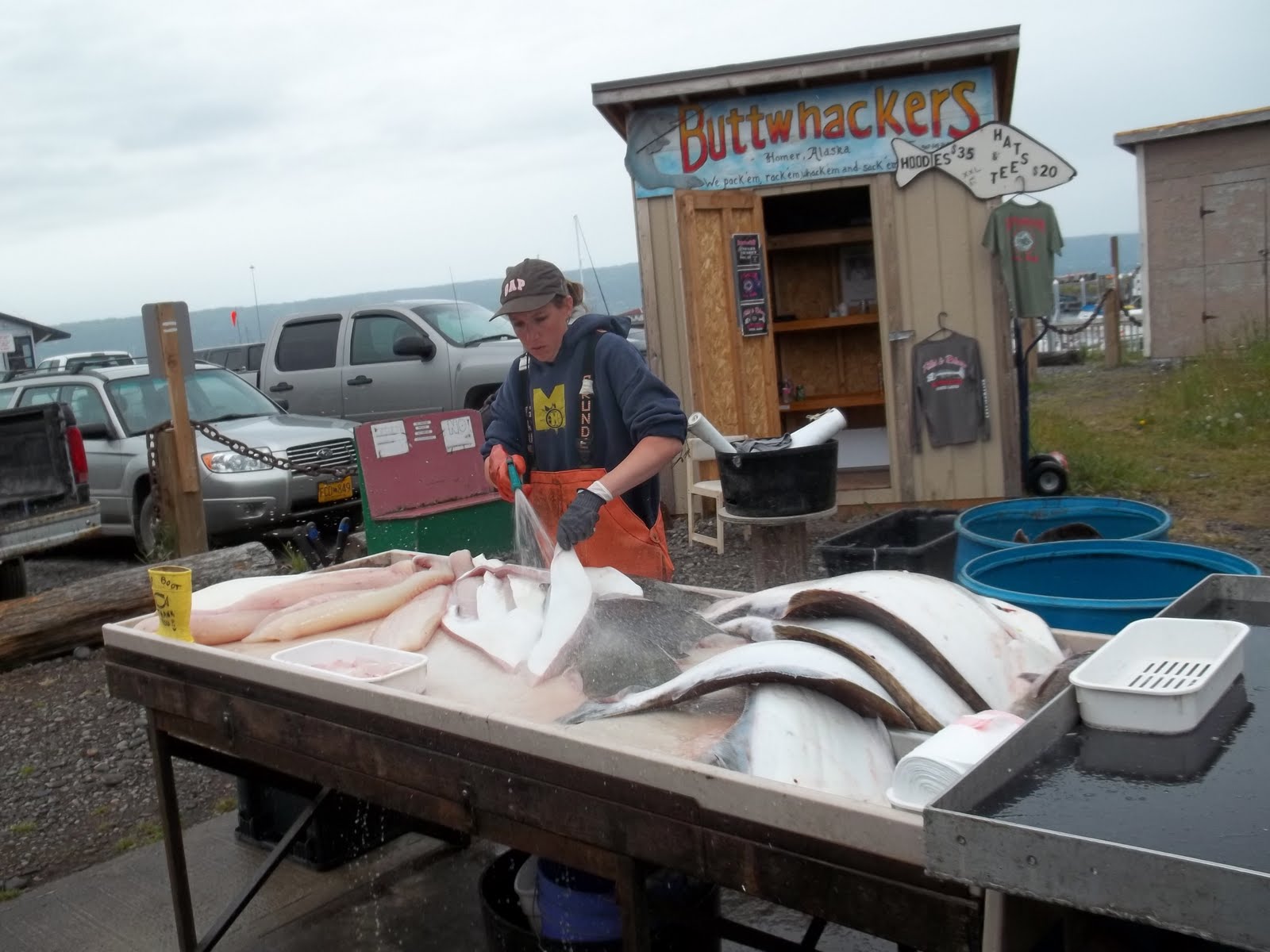 Karen & Fran's Alaska and Yukon Adventures Homer, Alaska, The Halibut