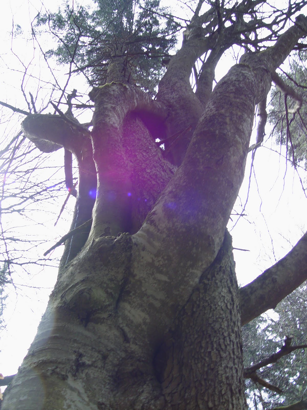 spiritualmoments A bizalom