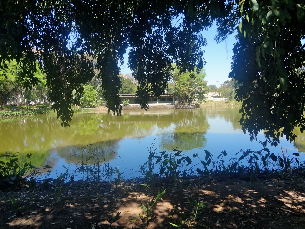 Parque Leopoldina Orlando Villas-Bôas recebe jogo decisivo do campeonato  brasileiro de futebol americano, Secretaria Municipal do Verde e do Meio  Ambiente