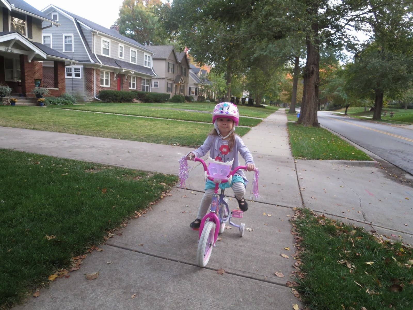 sleeping beauty bike