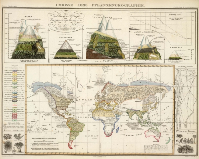 Geobotanik: Alexander Freiherr von Humboldt und die Pflanzenkunde