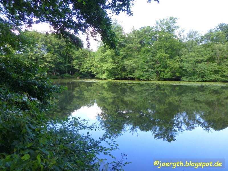 GEWUM! Geocaching, Wandern und mehr... Alsterwasser Mama, isses noch