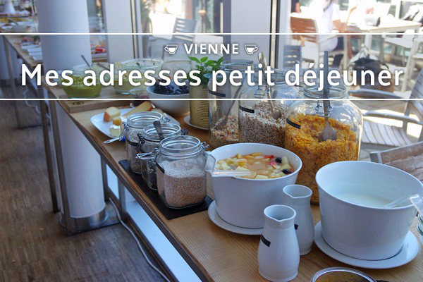 vienne neubau oben brunch