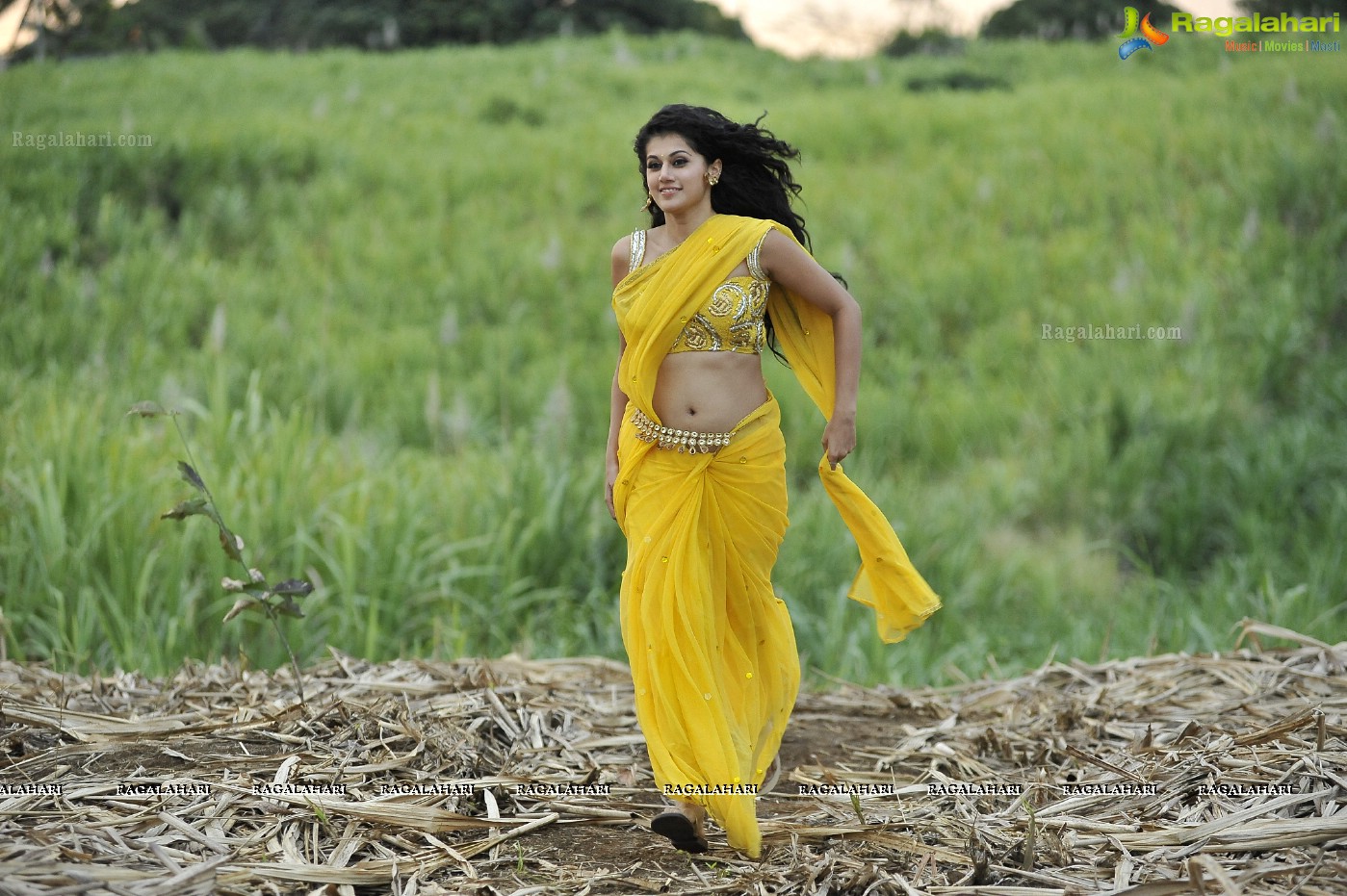 TAPSEE Hot Navel Show In Modern Low Rise Saree