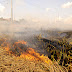Número de incêndios ambientais cresce 41% no Paraná