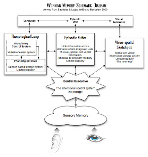 Miss Green's AS Psychology: September 2011