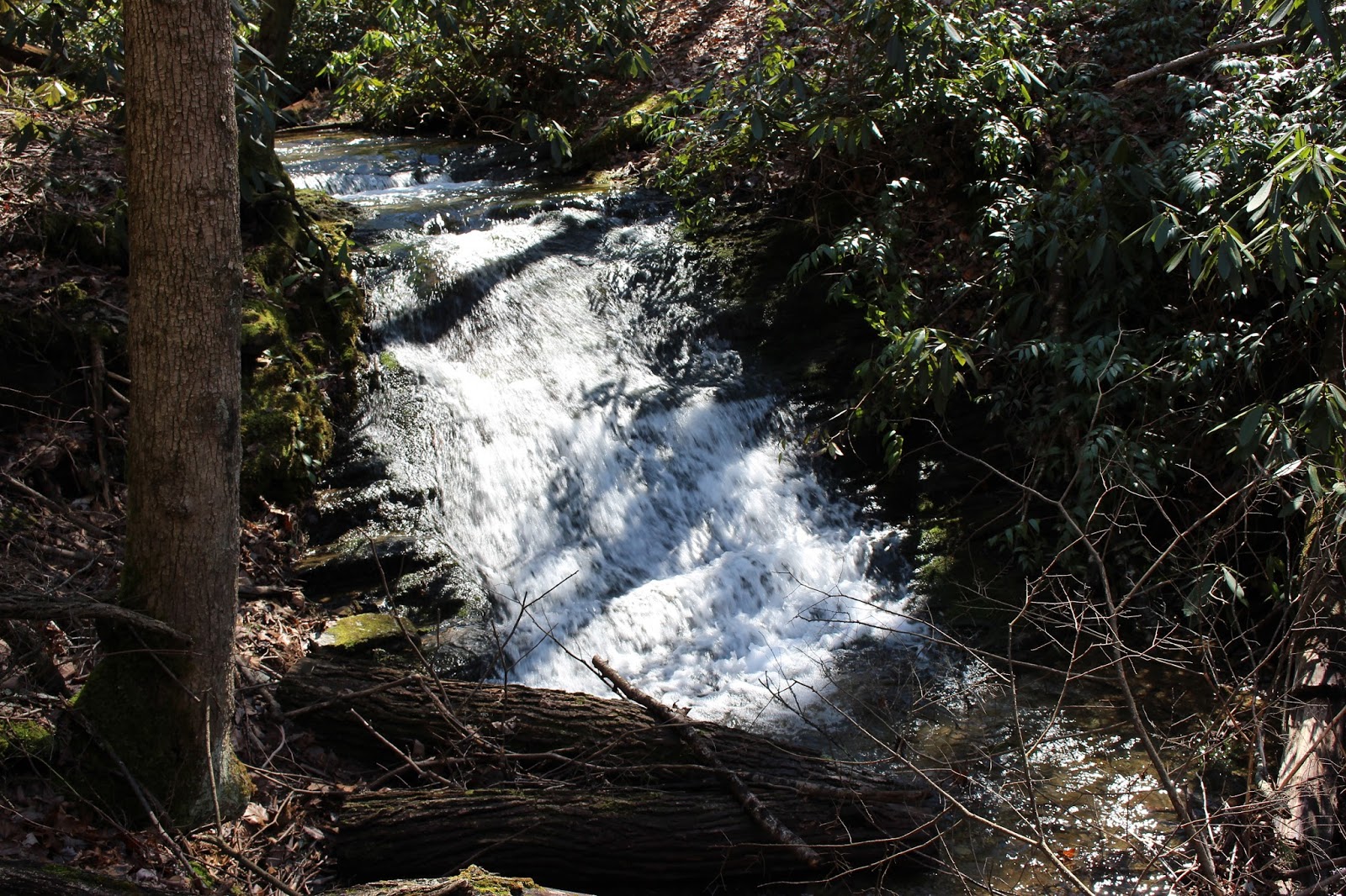 Cumberland Gal First Attempt at Reaching Sugar Cove Branch Falls Off