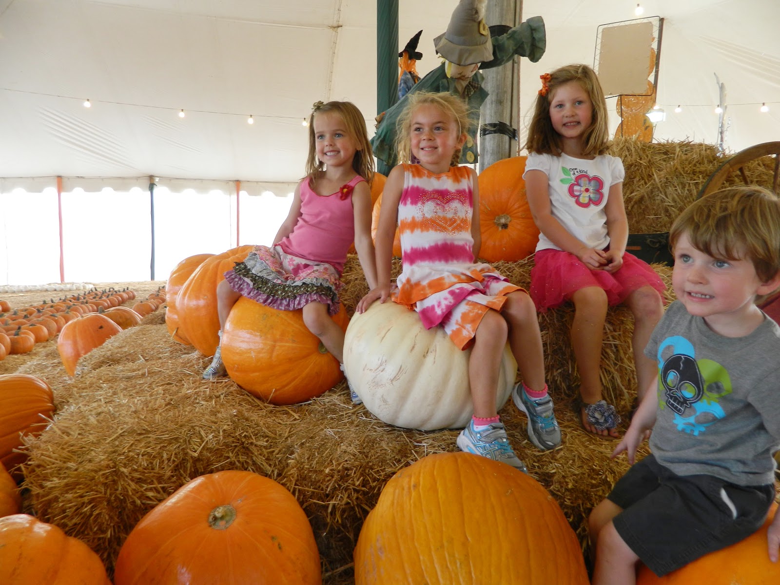 The Silveri Story The Del Mar Pumpkin Station