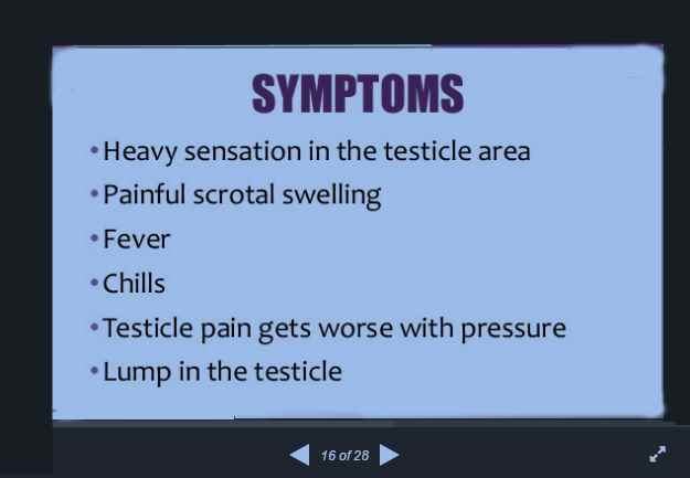 epididymitis a real pain essay epididymitis a real pain essay