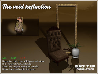 [Black Tulip] Props - The void reflection