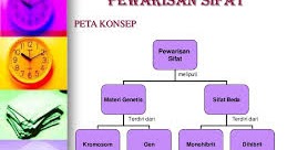 Jawaban Pg Uji Kompetensi Bab 7 Ipa Kelas 9 Smp Halaman 88 Pewarisan Sifat Pada Makhluk Hidup Basbahanajar Com