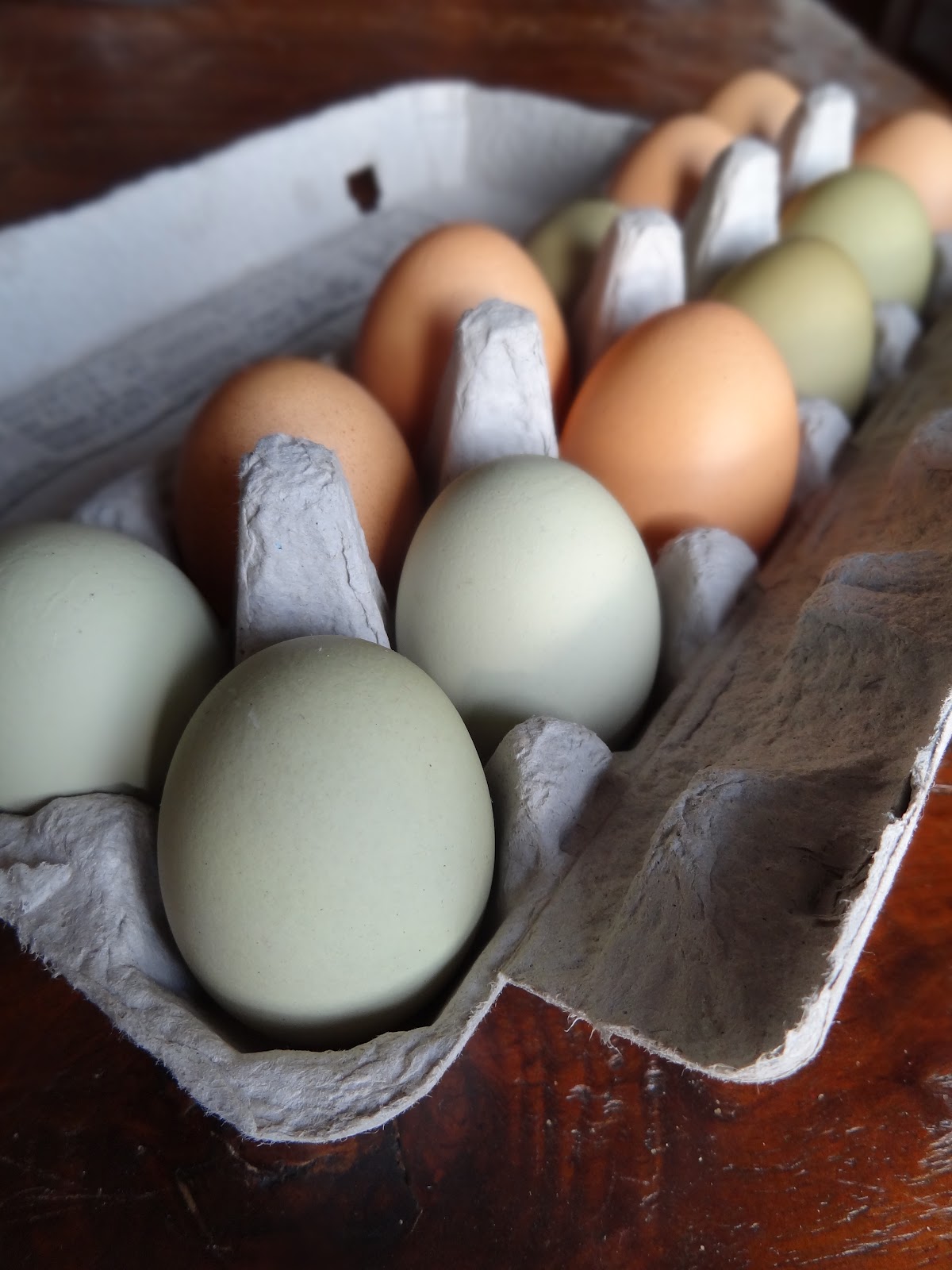 Edible Adventures Fresh Local Eggs Taste The Difference