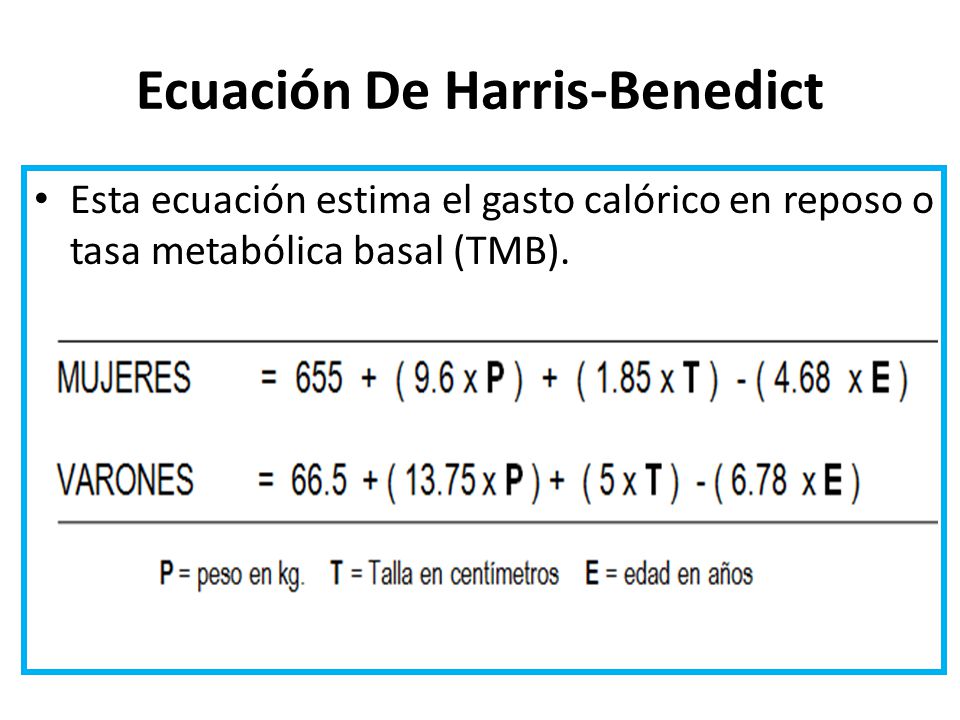 GASTO ENERGETICO GASTO ENERGETICO