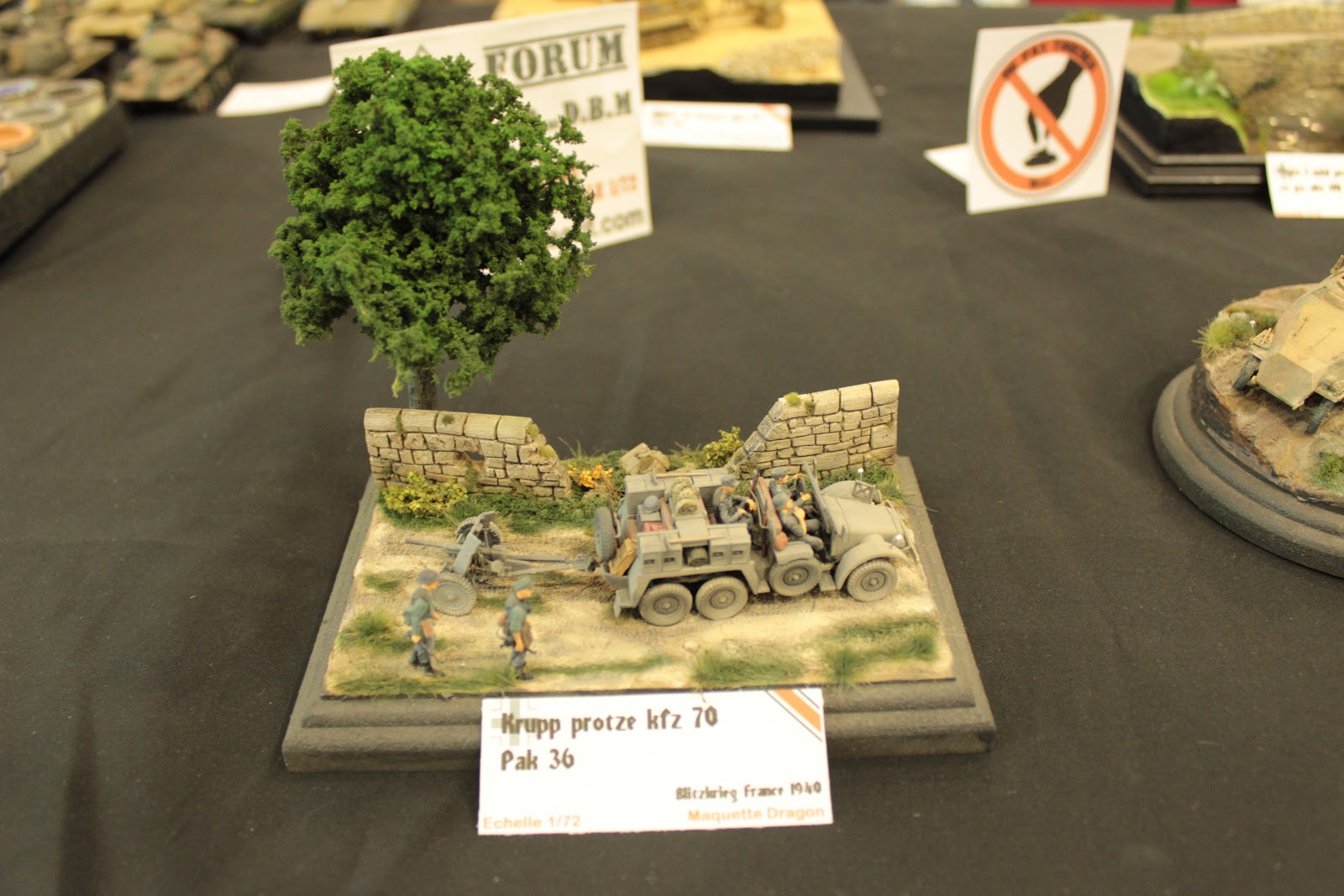 Maquettexpo 2017 14-15 octobre Hyères - Page 4 IMG_4209
