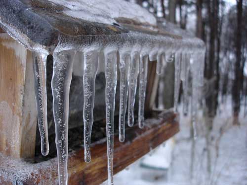 Icicles Icicles