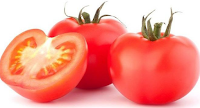 Tomat 