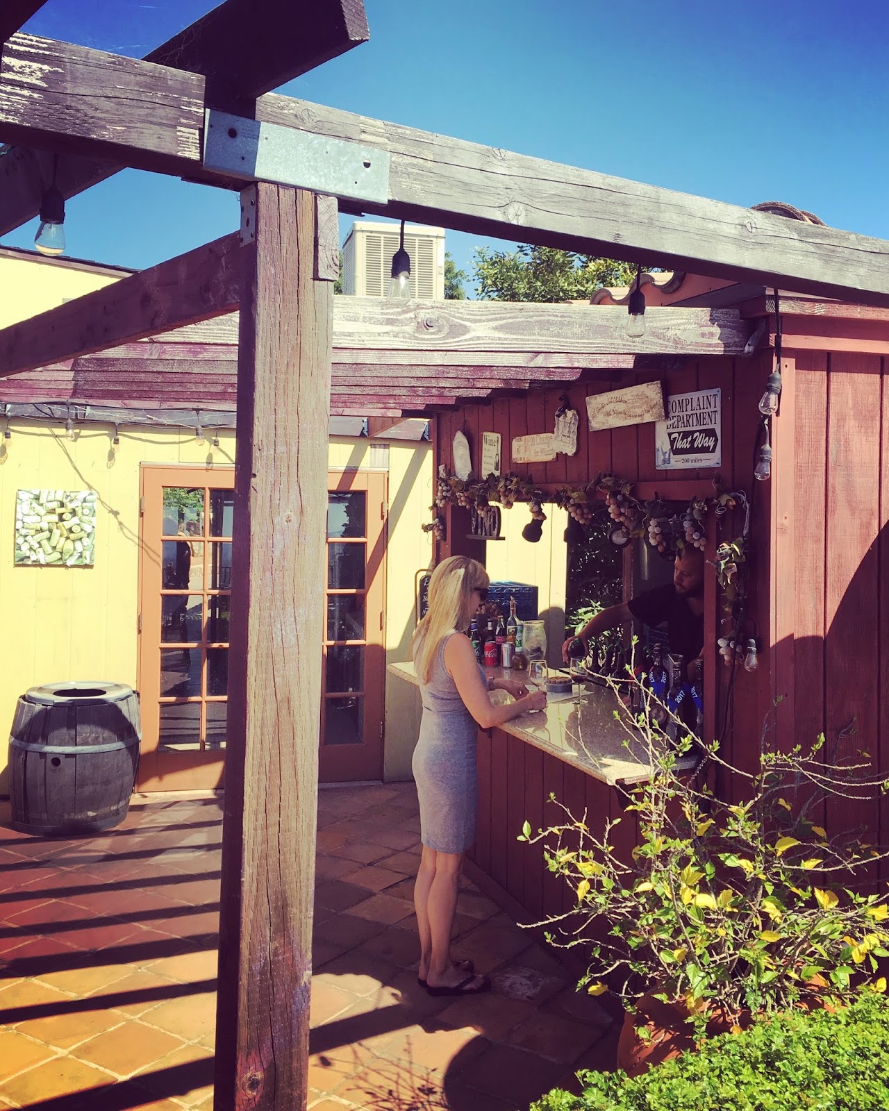 Sensory Overload Escondido Wine Region (Espinosa Vineyardsand Cordiano Winery)