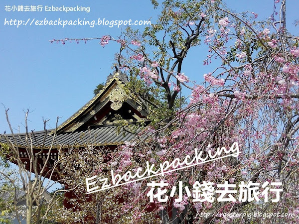 2022年日本櫻花開花滿開現況(5月18日):東京+東北+北海道櫻花篇