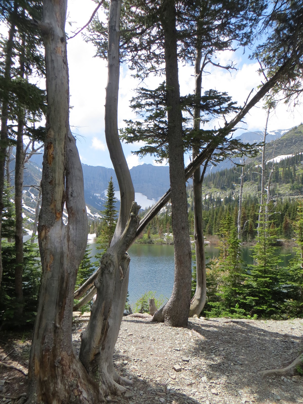 The Humble Hiker Bertha Lake, Waterton Lakes National Park