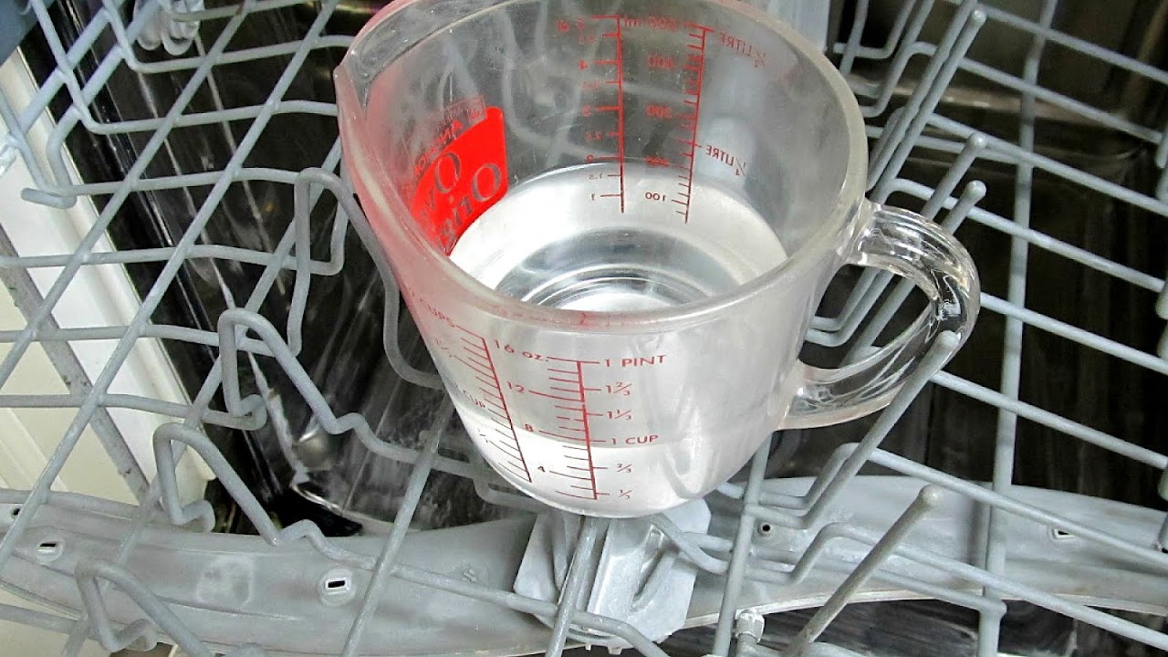 Cleaning Dishwasher With Vinegar Dish Choices