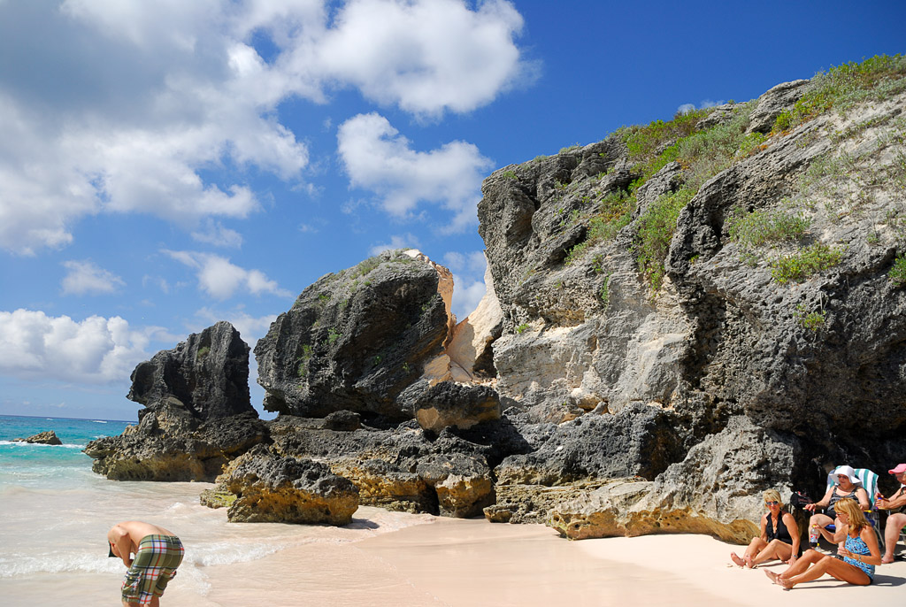 The Canadian Loon Horseshoe Bay and Gibbs Hill Lighthouse