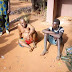Ritualist Who Pays Young Boys To Collect Pants Of Virgins Arrested In Anambra State - Photos