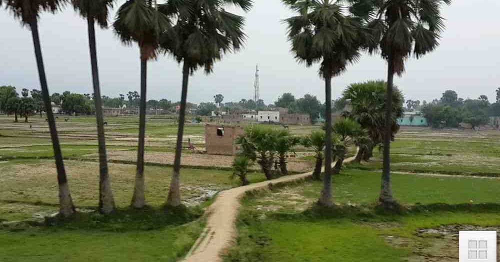 Village essay for class 6 image