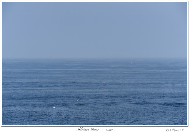 Halibut Point: ... ocean...