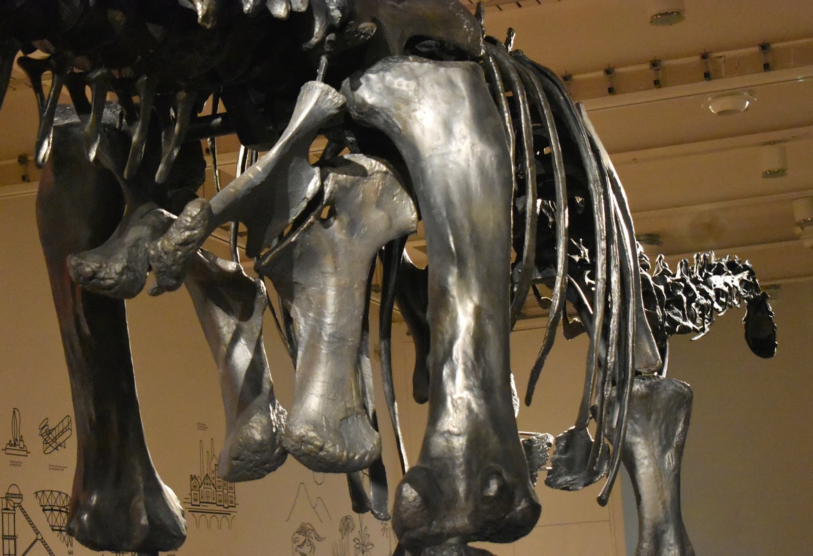 See Dippy the Dinosaur in Newcastle at Great North Museum Hancock New