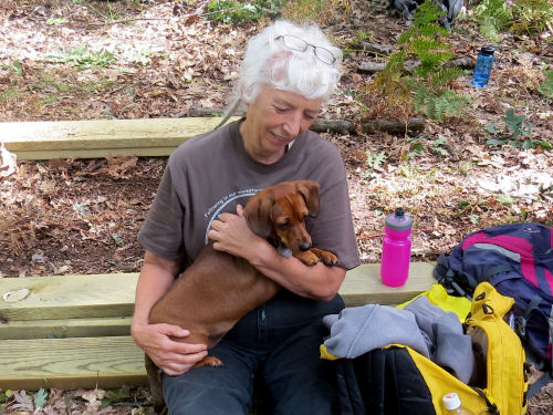 woman holding dachshund