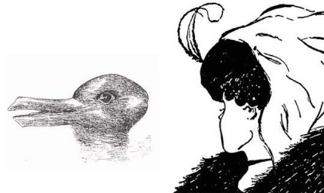 Farklı açılardan bakıldığında tavşan, ördek, genç bir kız ve yaşlı bir nene görünen kara kalem çizim