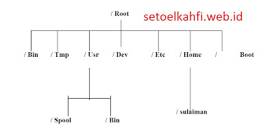 Belajar Linux: Struktur Direktori Linux Dan Organisasi File