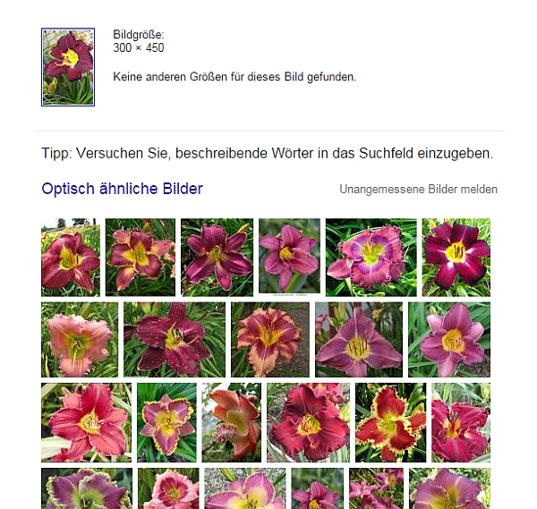 Gartensaison Ist Immer Gartentipps Von Eva Schumann Pflanzen Bestimmen Mit Der Bildersuche