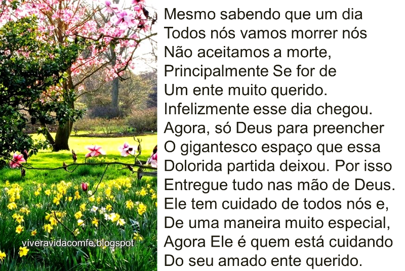 Mensagem Para Quem Perdeu Um Ente Querido