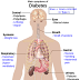 Healing effect of exercise in type 2 diabetes mellitus !