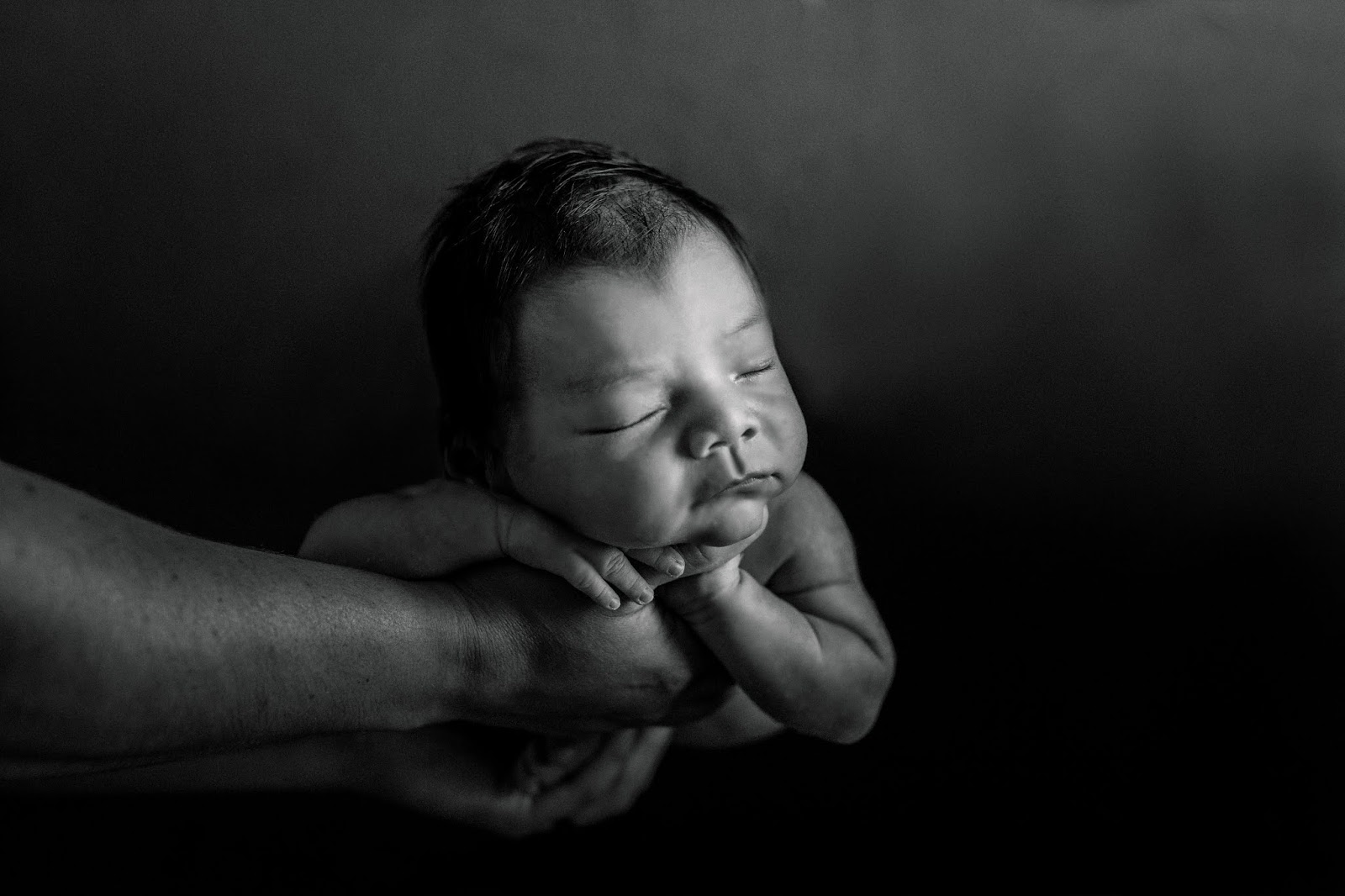 studio newborn photography in fremont ca family of 3