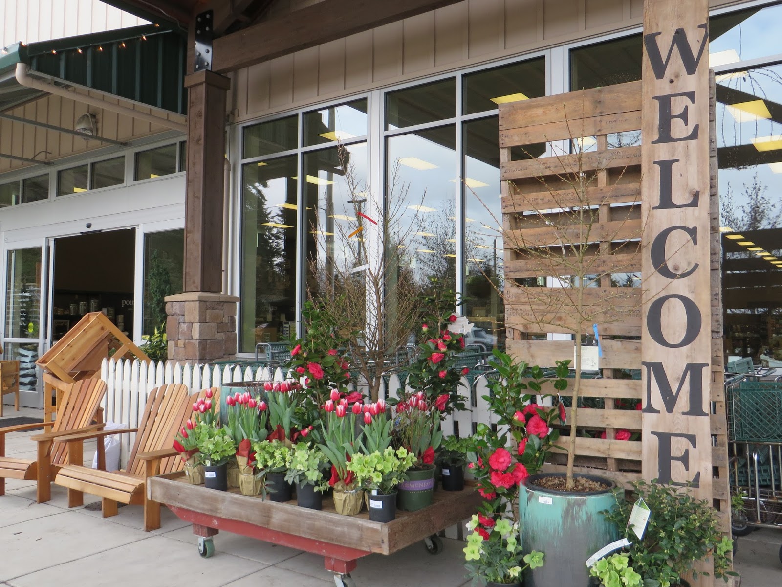 Nursery Visit Sky Nursery Seattle