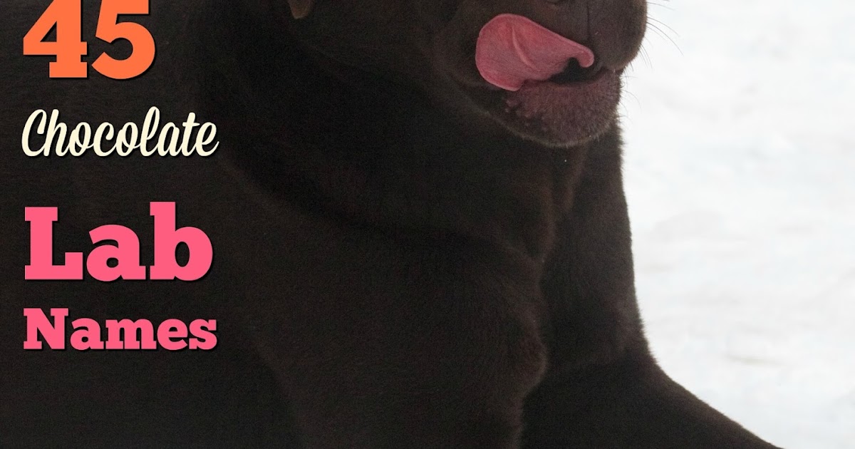 Dog Picture And Names Dog Picture And Names