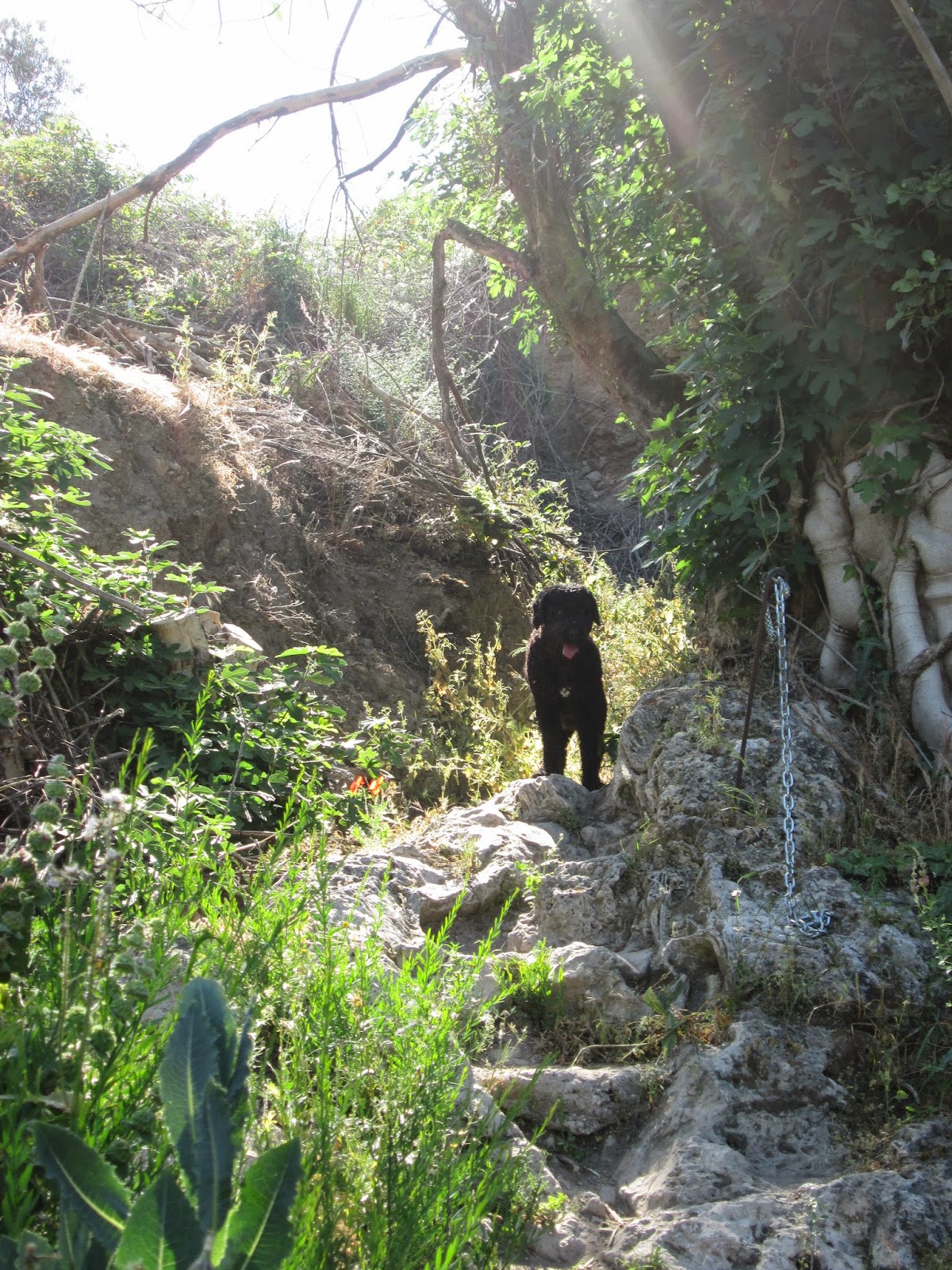 SENDERISMO&VIDA "ELADIO": RUTA "LOS INFIERNOS DE LOJA"GRANADA
