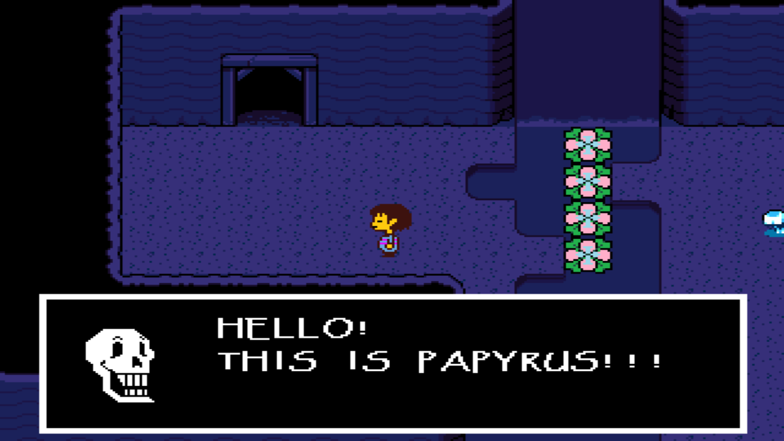 Undertale 11 Bridge Seeds