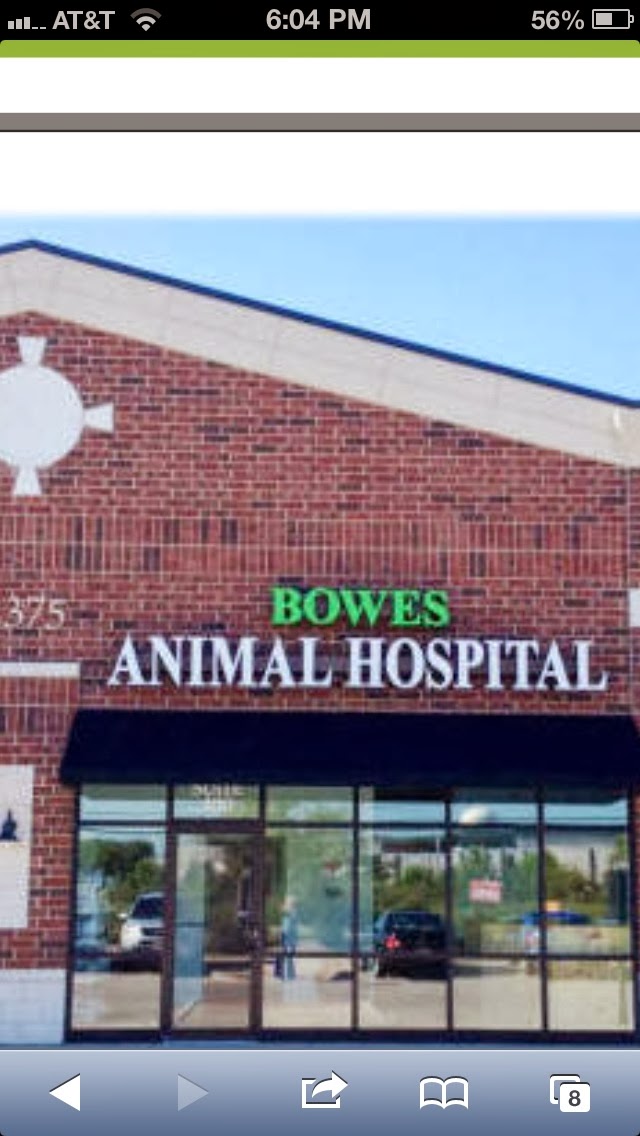 Bowes Animal Hospital
